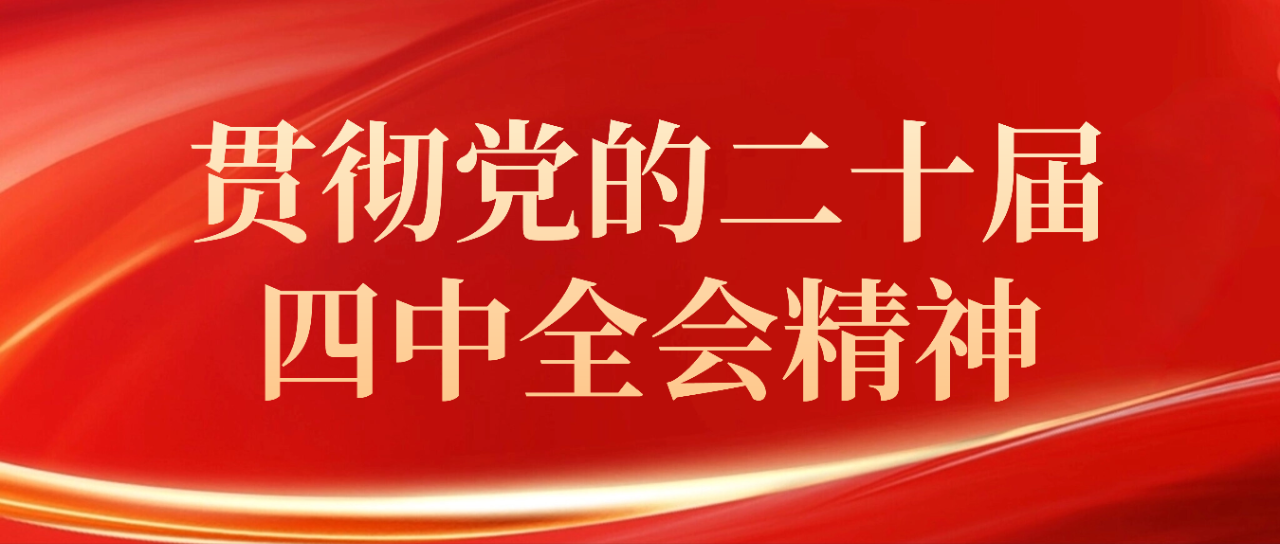 【贯彻党的二十届四中全会精神·心声】以更优检察履职服务保障经济社会高质量发展